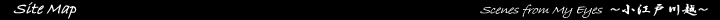 Digital Photo Gallery