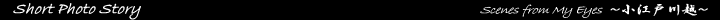 Digital Photo Gallery