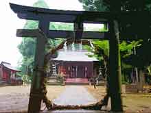 夏越大祓の輪くぐり
