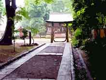 夏越大祓の輪くぐり