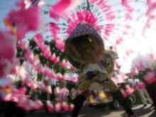 ほろ祭り
