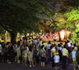 仙波東照宮葵庭園ホタル祭り