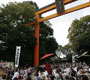 氷川神社・神幸祭