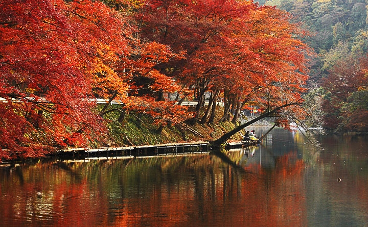 フォトアルバム 鎌北湖紅葉まつり