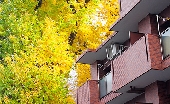 _MG_5703g.jpg
