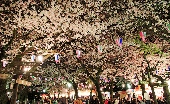 _MG_5783g.jpg