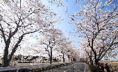 _MG_6601g.jpg