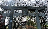 _MG_6643g.jpg