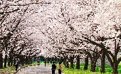 _MG_6959g.jpg