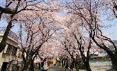 _MG_6401g.jpg
