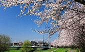 _MG_6781g.jpg