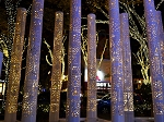 _DSC1990s.jpg