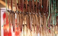 _MG_0187g.jpg