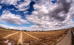 _MG_3180_78_79_tonemappedg.jpg
