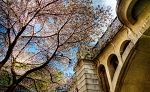 _MG_3705_6_7_tonemappedg.jpg