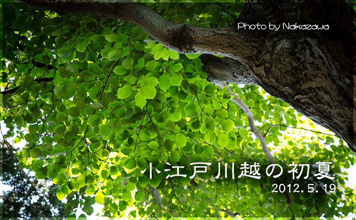 小江戸川越の初夏