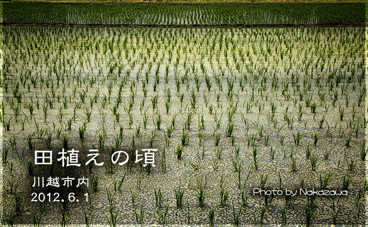 田植えの頃