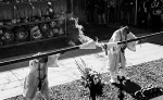 _54A6038bw.jpg
