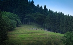 _54A8018g.jpg