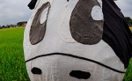 _54A8854g.jpg