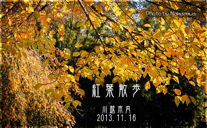 紅葉散歩