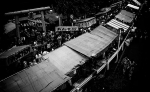_MG_3741g.jpg