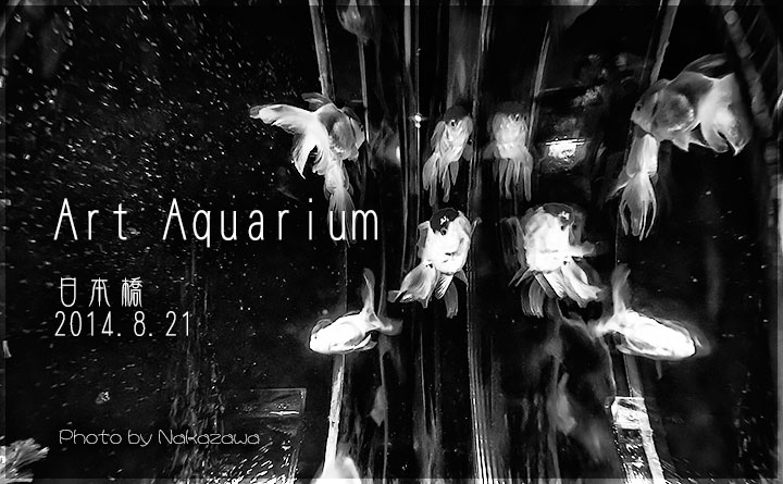 Art Aquarium