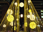 _MG_1503s.jpg